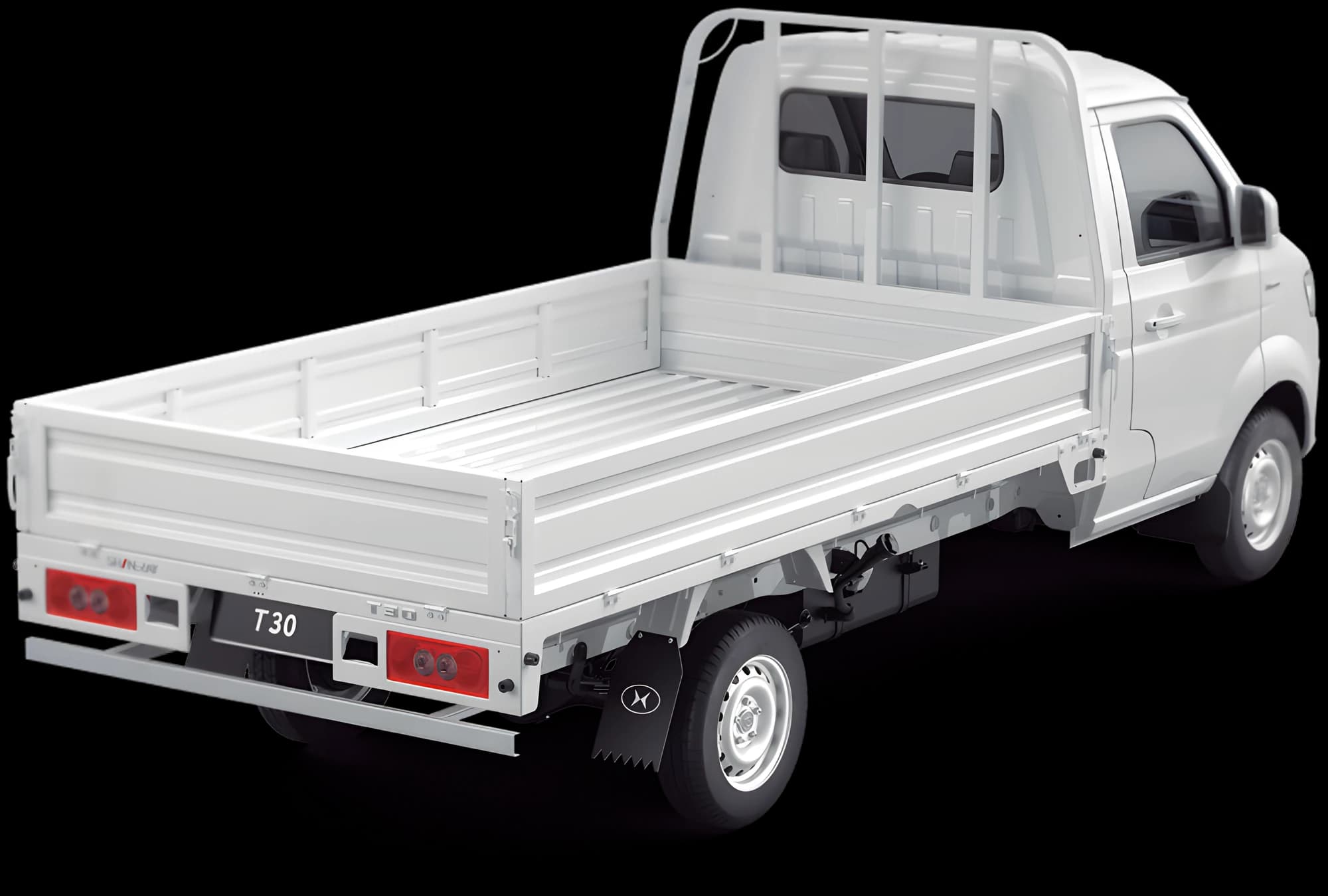 Shineray T30 vista trasera con la caja de carga